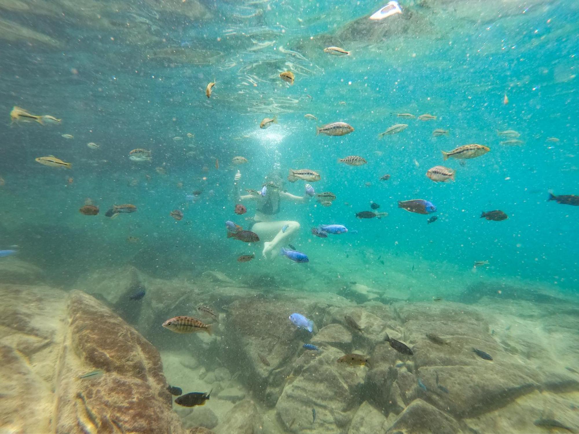 Thumbi View Lodge Cape Maclear エクステリア 写真